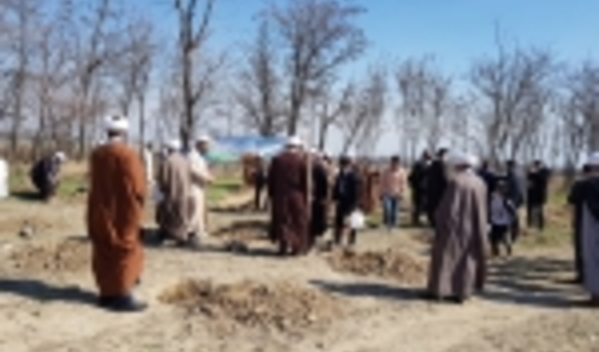 آغاز هفته منابع طبيعي در استان البرز با غرس نهال توسط نماينده ولي فقيه 