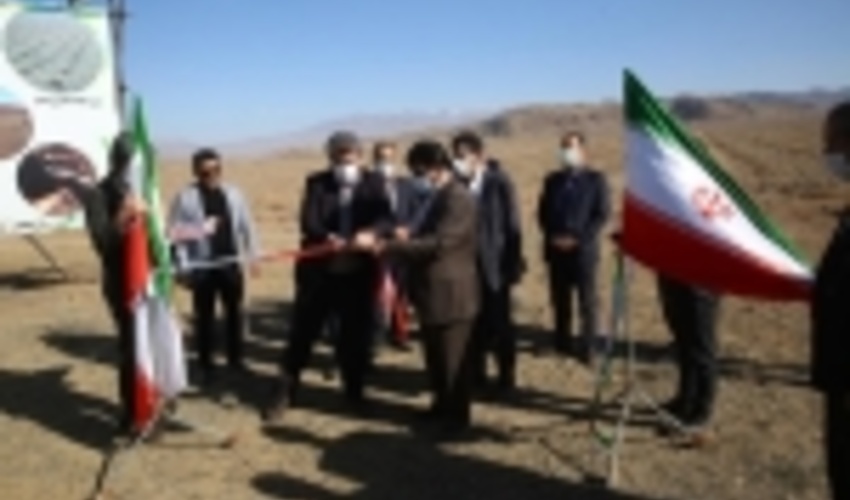 هزار و 254 هکتار نهال‌کاری در قم به پایان رسید