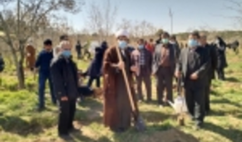 حجت الاسلام شهاب مرادی: درختکاری را از دوران مدرسه در کودکان نهادینه کنیم/ استارتاپ ها پای کار بیایند