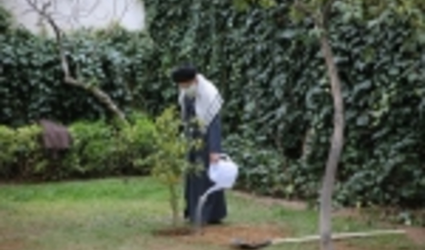 کاشت دو نهال توسط رهبر انقلاب