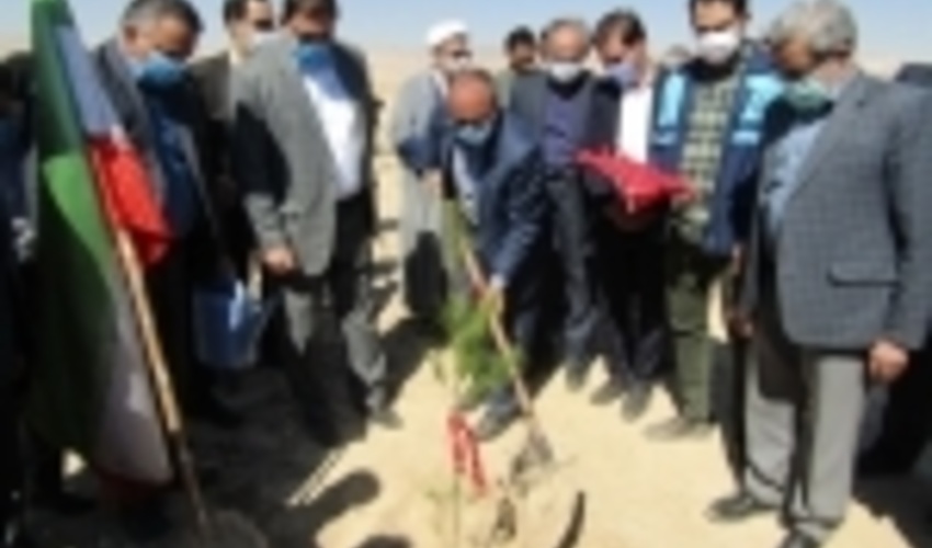 ایجاد پارک جنگلی20هکتاری در سرخه/ توزیع 5,1 میلیون نهال مثمر و غیرمثمر در سمنان