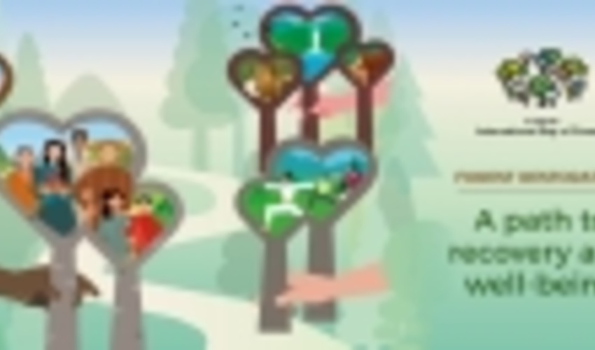 International Day of Forests
