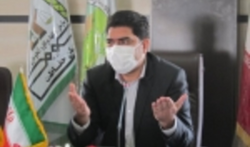 11هزار هکتار جنگل کاری در جنوب کرمان انجام شد