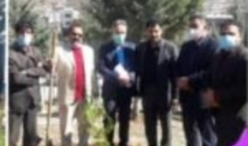 درخت کاری در صدا و سیمای مرکز استان لرستان