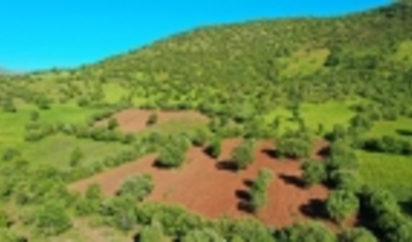 تفاهم نامه همکاری بسیج سازندگی استان و منابع طبیعی جنوب کرمان منعقد شد