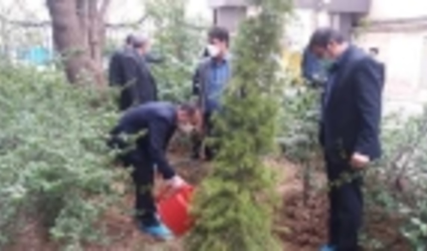 توسعه جنگل کاری و ایجاد فضای سبز یکی از نیازهای اصلی استان تهران