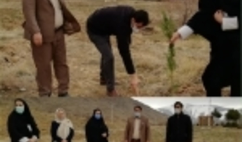 همدان/ افتتاح پارک جنگلی 40 هکتاری در تویسرکان در هفته منابع طبیعی