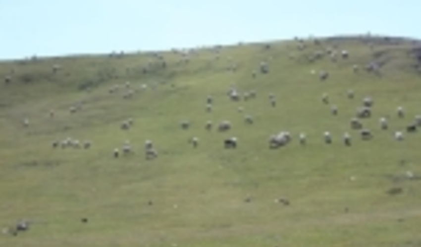 اردبیل/ بهره گیری از منابع آبی در مراتع خلخال ساماندهی شد