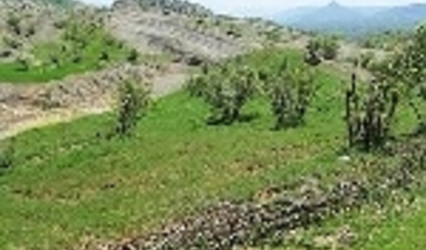 کردستان/خلع ید 150 هکتار از اراضی ملی کامیاران 