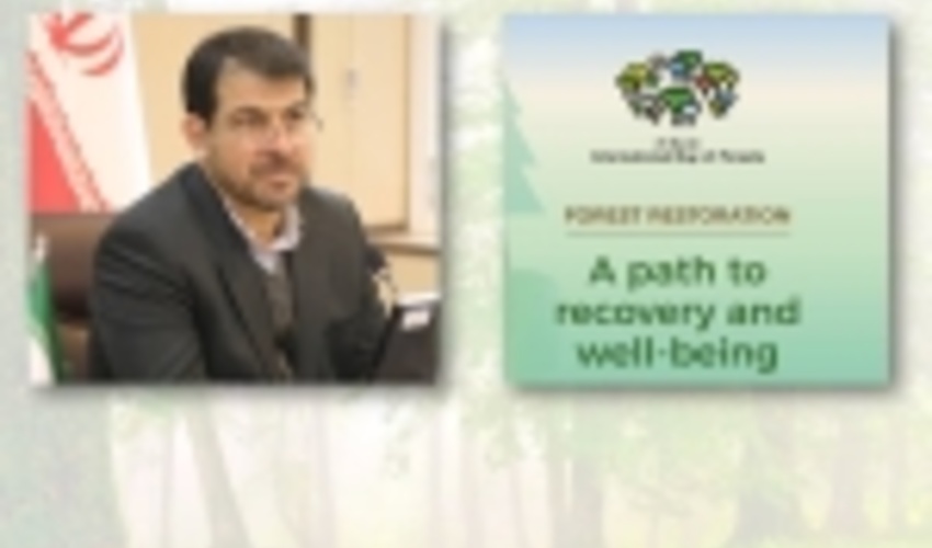 Statement by Head of FRWO on the Occasion of International Day of Forests
