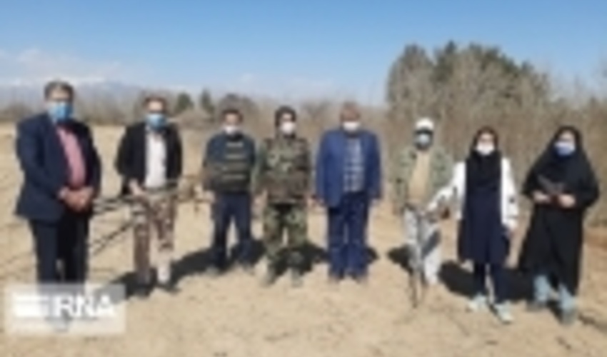 توزیع 60 هزار نهال همزمان با هفته منابع طبیعی و آبخیزداری در دامغان 