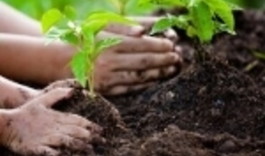 20 میلیارد ریال برای اجرای طرح‌های آبخیزداری، بیابان زدایی در سال جاری هزینه شد