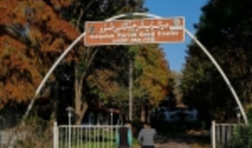 سایه روشن های مرکز بذر جنگلی خزر در گفت و گوی اختصاصی با رییس این مرکز