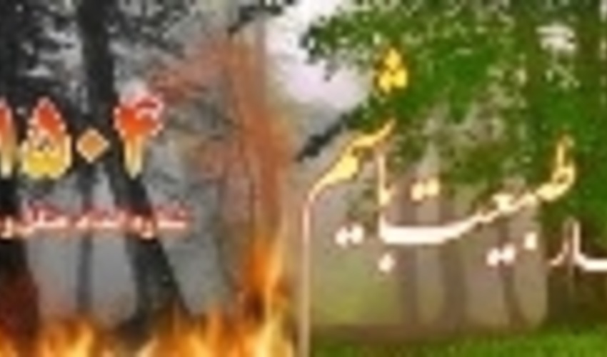 فعالیت ۶ هزار و ۳۰۰ همیار طبیعت در همدان