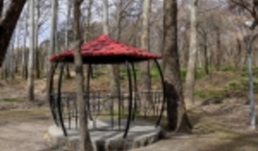 مدیرکل منابع طبیعی و آبخیزداری استان البرز: از تردد بی مورد به جنگل‌ها و مراتع در ایام بحرانی کرونا جلوگیری خواهد شد