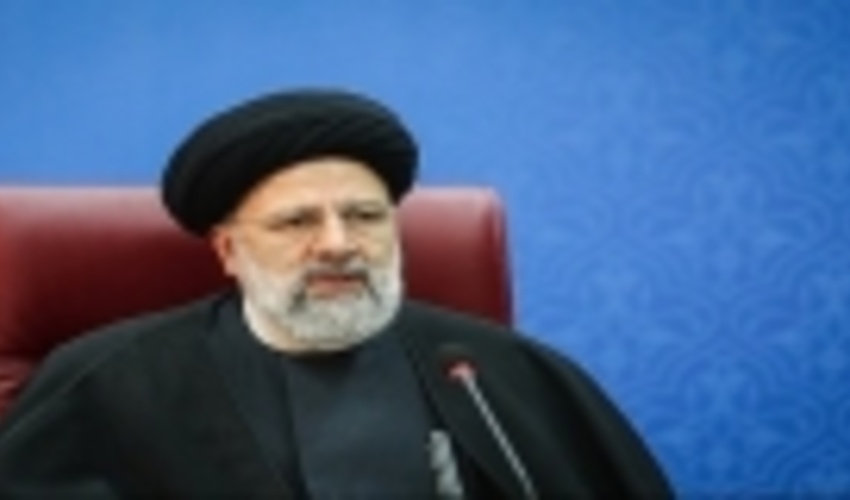 احکام صادره در خصوص پرونده‌های مربوط به قاچاق چوب باید بازدارنده باشند