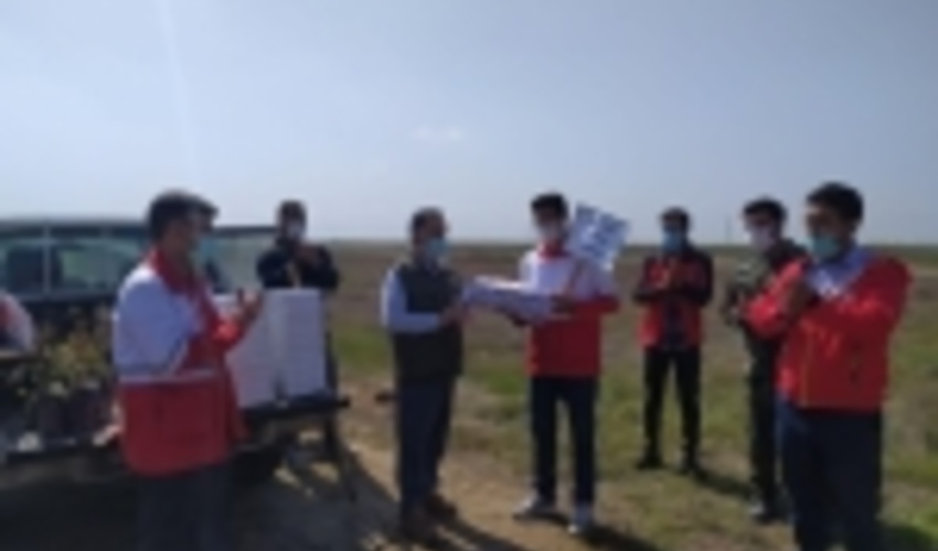 گلستان/هلال احمری ها، همیار منابع طبیعی در کاشت درخت