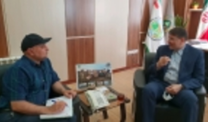 طرح زراعت چوب در استان قزوین اجرایی می شود