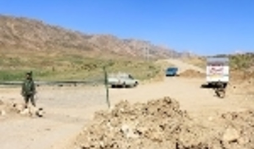 دشت لاله‌های واژگون شهرستان کوهرنگ قرق مطلق اعلام شد