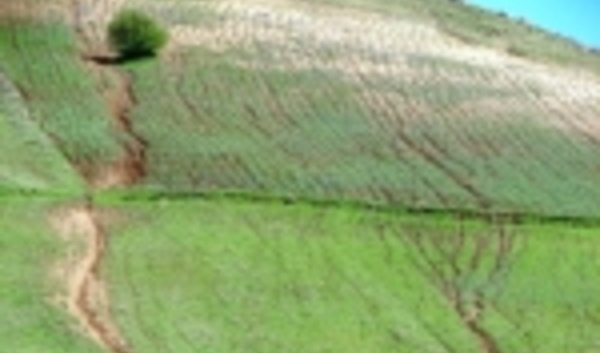 عملیات بیولوژیک در چهار هزار هکتار از مراتع کردستان اجرا شد