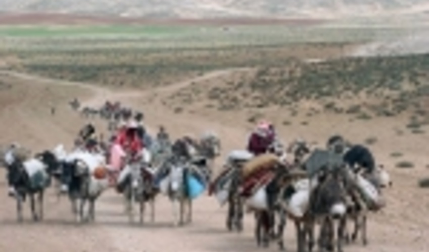 زمان بندی کوچ عشایر ۳۰ فروردین تا ۲۰ اردیبهشت اعلام شد