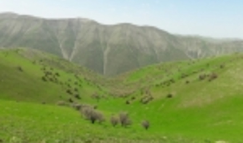 از چرای بی رویه دام در مراتع البرز جلوگیری می‌شود