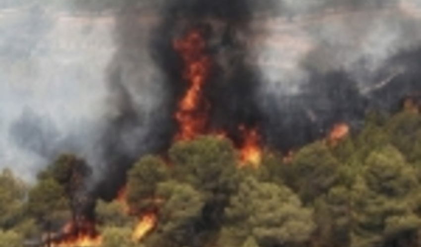 راه‌اندازی سامانه حدنگاری/ پایش آنلاین آفات و حریق در جنگل‌ها و مراتع