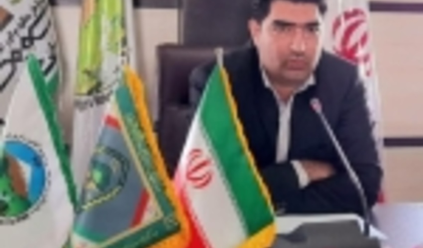 برداشت گیاهان دارویی و خوراکی از مراتع جنوب کرمان ممنوع شد