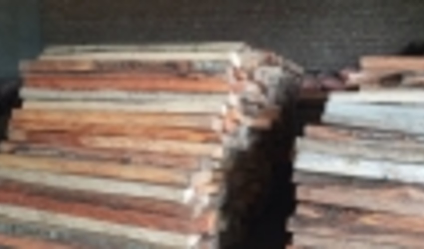 100 اصله چوب‌آلات جنگلی قاچاق در استان اردبیل کشف و ضبط شد