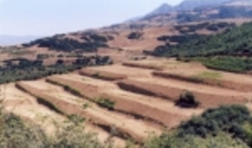 فارس/جلوگیری از وقوع سیل با وجود سازه های اجرا شده آبخیزداری