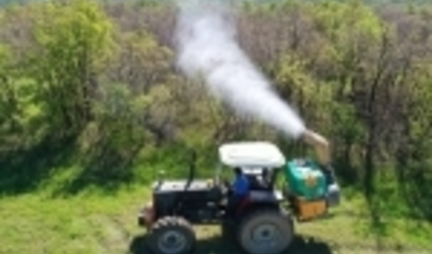 مبارزه با آفت جوانه‌خوار بلوط در جنگل‌های کردستان آغاز شد