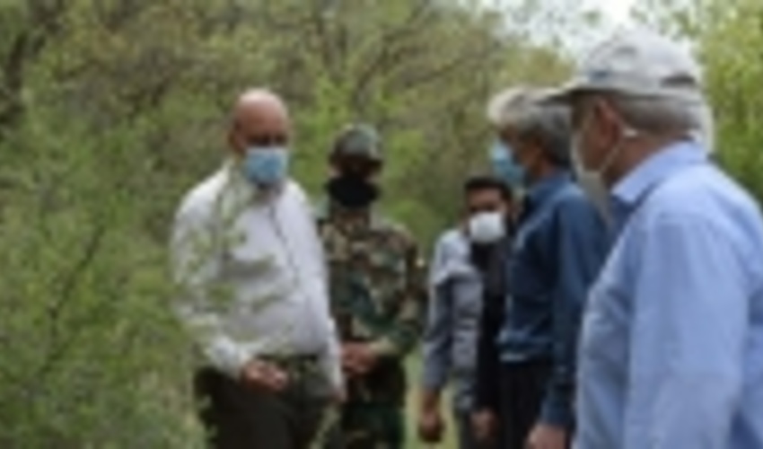 ذخیره گاه گلابی دالاهو حرکتی در جهت جلوگیری از انقراض گونه‌های جنگلی