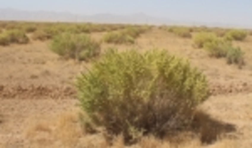 کاهش 1/5 تنی فرسایش خاک در استان مرکزی