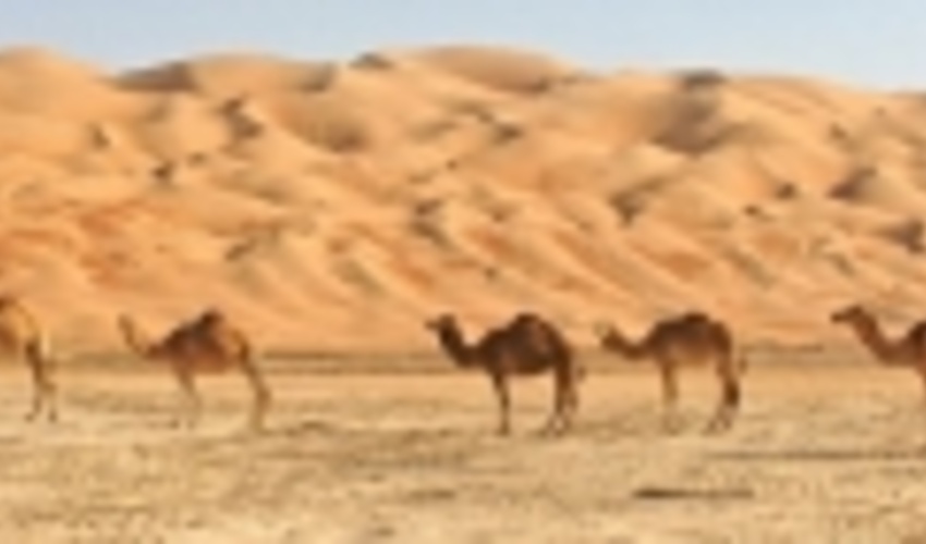 به روز رسانی دستورالعمل های فنی و اجرایی  بخش  بیابان