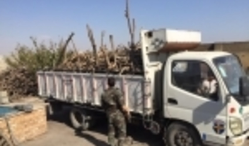 دستگیری 45 نفر در زمینه قاچاق چوب سال گذشته در استان سمنان 