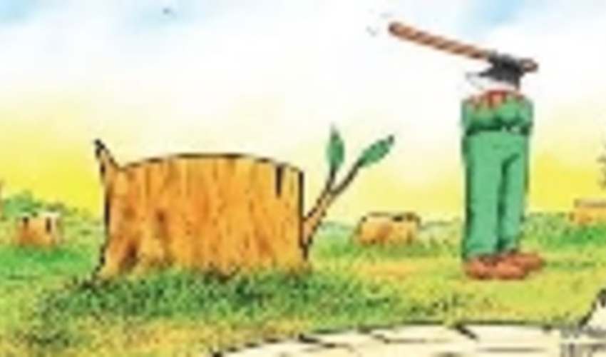 مامور منابع طبیعی در اردبیل بر اثر ضرب و شتم روانه بیمارستان شد