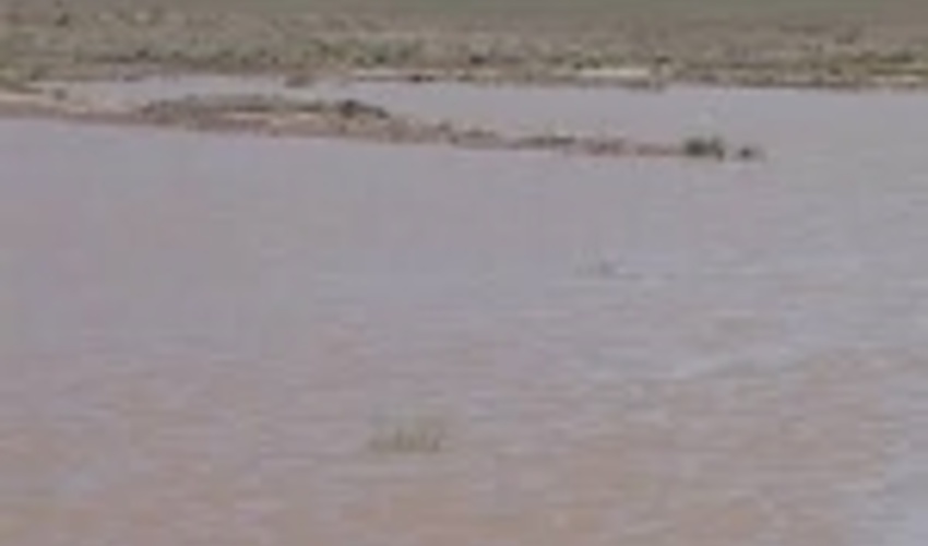 اصفهان/هدیه بارش های بهار به سدهای خاکیِ اردستان 