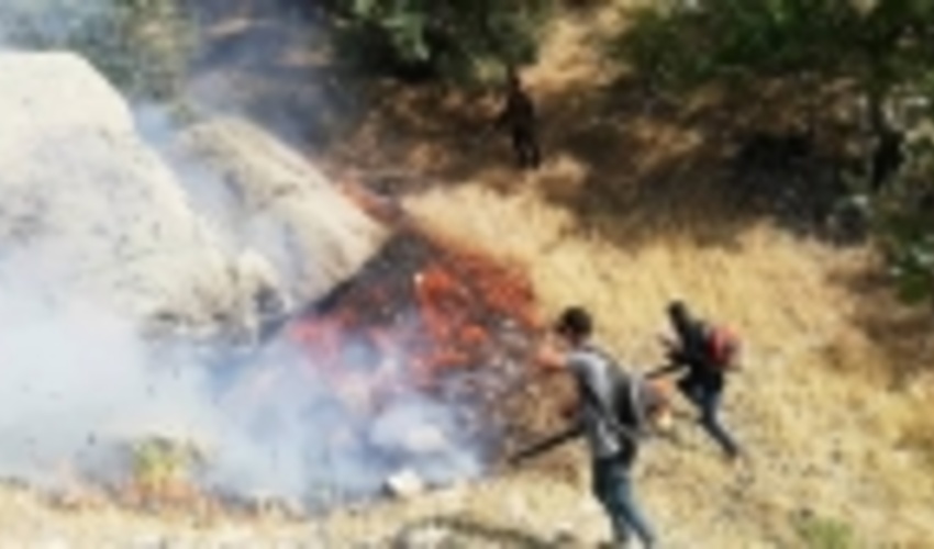 فارس/ مهار کامل سه فقره آتش سوزی در شهرستان ممسنی