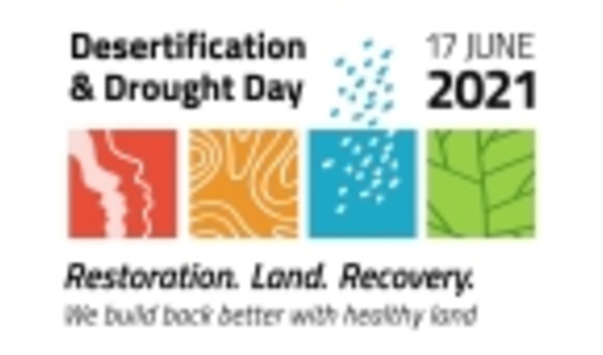 FRWO Held Meetings on the 2021 Desertification and Drought Day