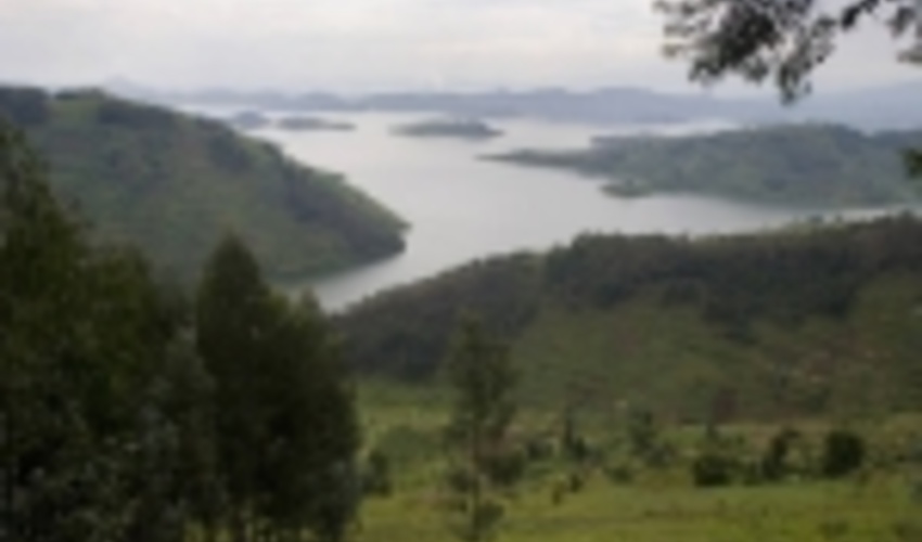 FAO-UNEP call for bold move to restore world’s ecosystems