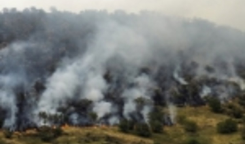 ۸۶ کانون مستعد آتش سوزی در عرصه های طبیعی ایلام شناسایی شد