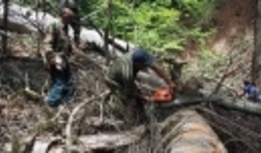 سمنان/عامل انسانی؛ علت وقوع 95 درصد حریق مراتع شهرستان شاهرود