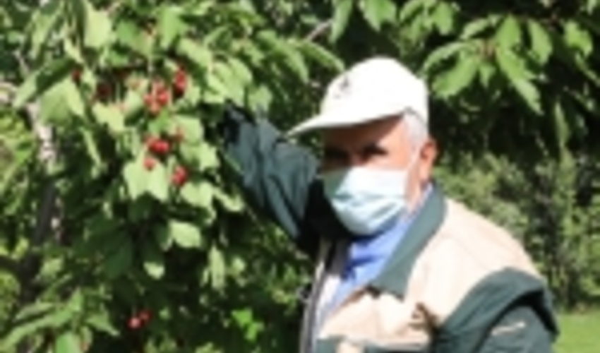 از عرصه های بیابانی تا فضای سبز سازمانی   