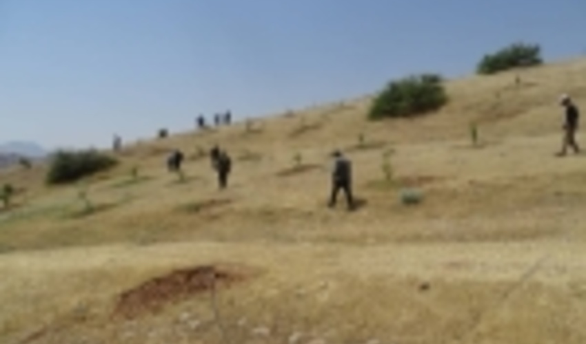 101 هکتار از اراضی ملی استان قزوین آزادسازی شد