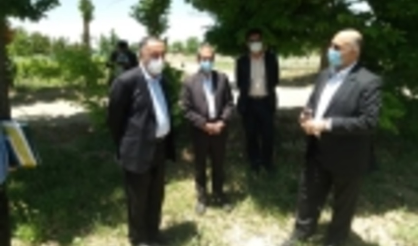 نهالستان ملایر توان تولید ۲ میلیون اصله نهال را دارد