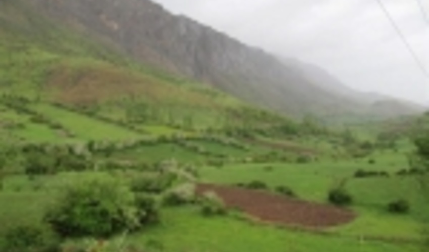 قرق و احیا بیش از 26 هزار هکتار از مراتع اصفهان