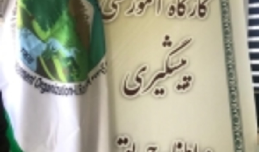 برگزاری کارگاه هم اندیشی پیشگیری و اطفای حریق در منابع طبیعی 