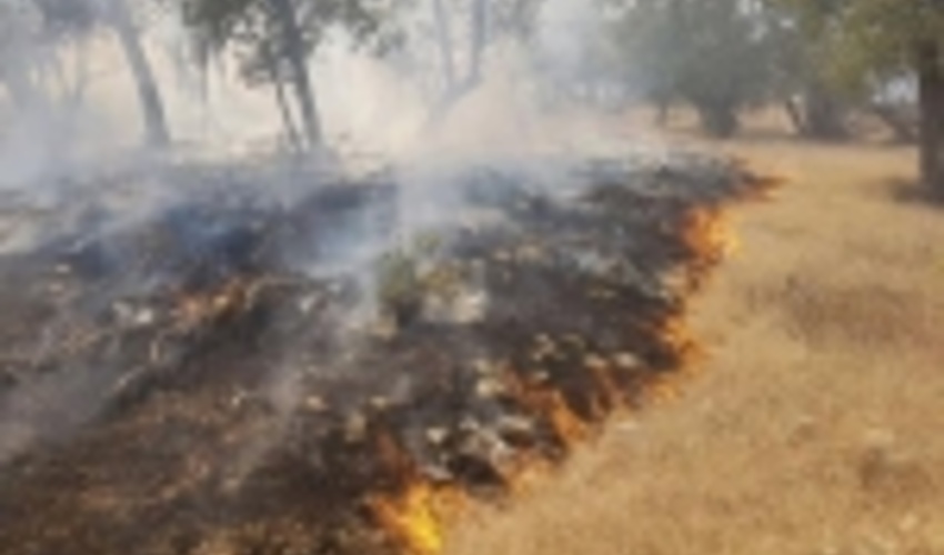 احتمال اطفای آتش‌سوزی کوه حاتم تا پایان امروز