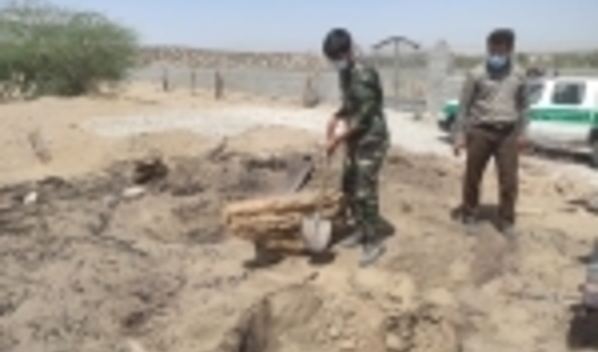 هرمزگان/تخریب یک باب کوره ذغال غیرمجاز در منطقه کنارو شهرستان بندرعباس