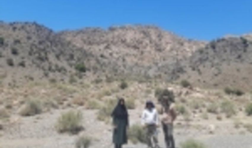 خراسان رضوی/ پروژه پایش رویشگاههای بنه و بادامشک در بردسکن